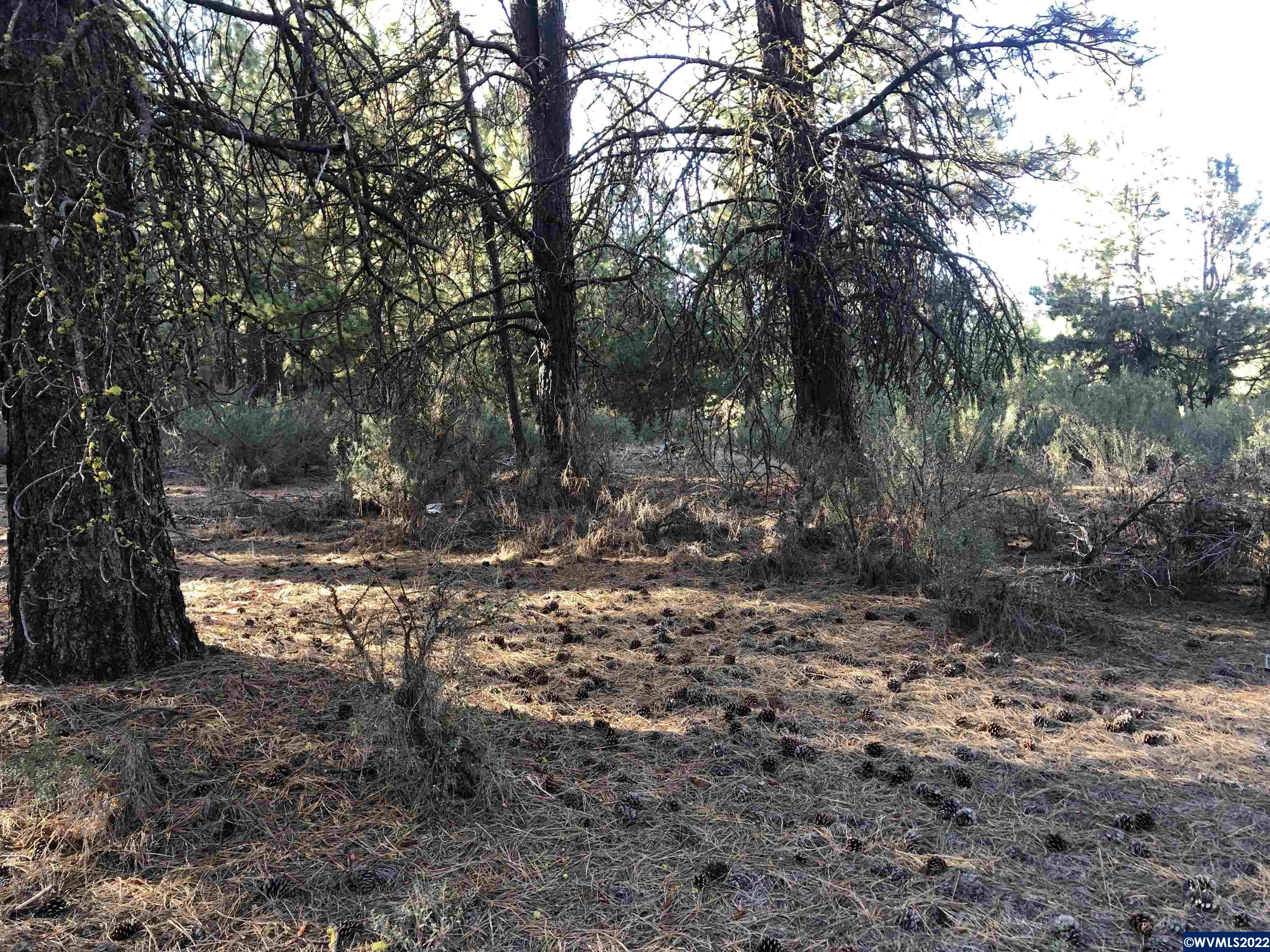 Lot 16 Stillwater Way Chiloquin, OR 97624 - Photo 2 of 7
