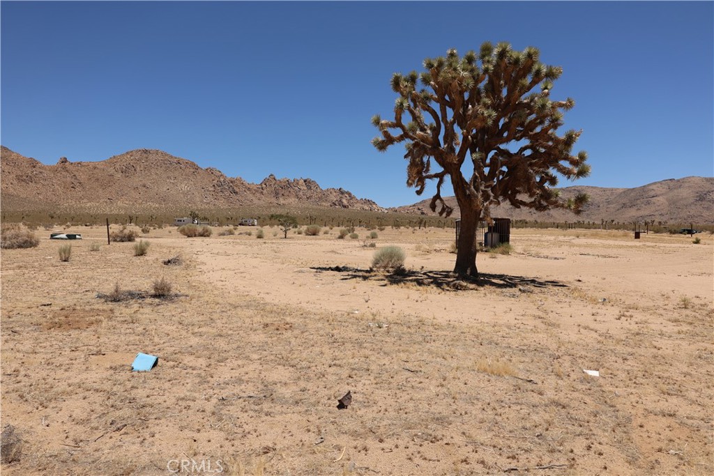 5 Oldenburg Road Apple Valley, CA 92307 - Photo 1 of 7 a view of a yard with a tree