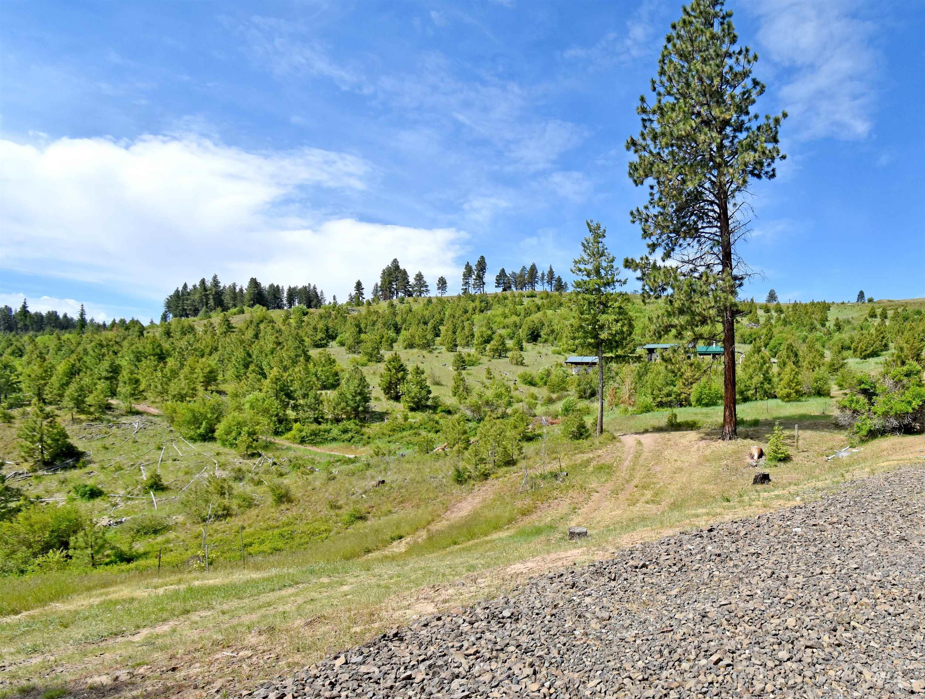 90 Fireman Canyon Road Pomeroy, WA 99347 - Photo 4 of 39 Gallery Image 4
