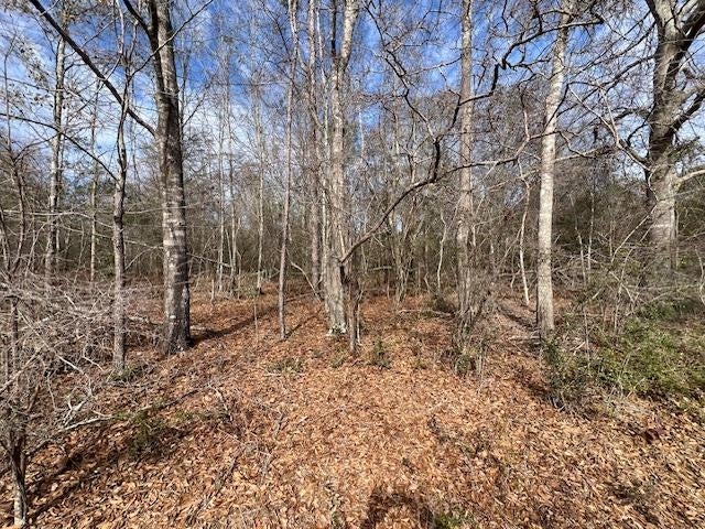 14-ac Potter Road Opp, AL 36467 - Photo 36 of 42 Gallery Image 36