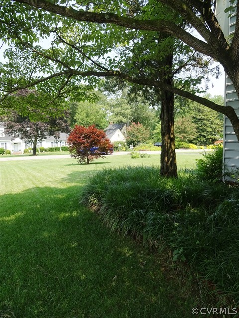 10705 Lunswood Road Chester, VA 23831 - Photo 20 of 22 Level Side Yard