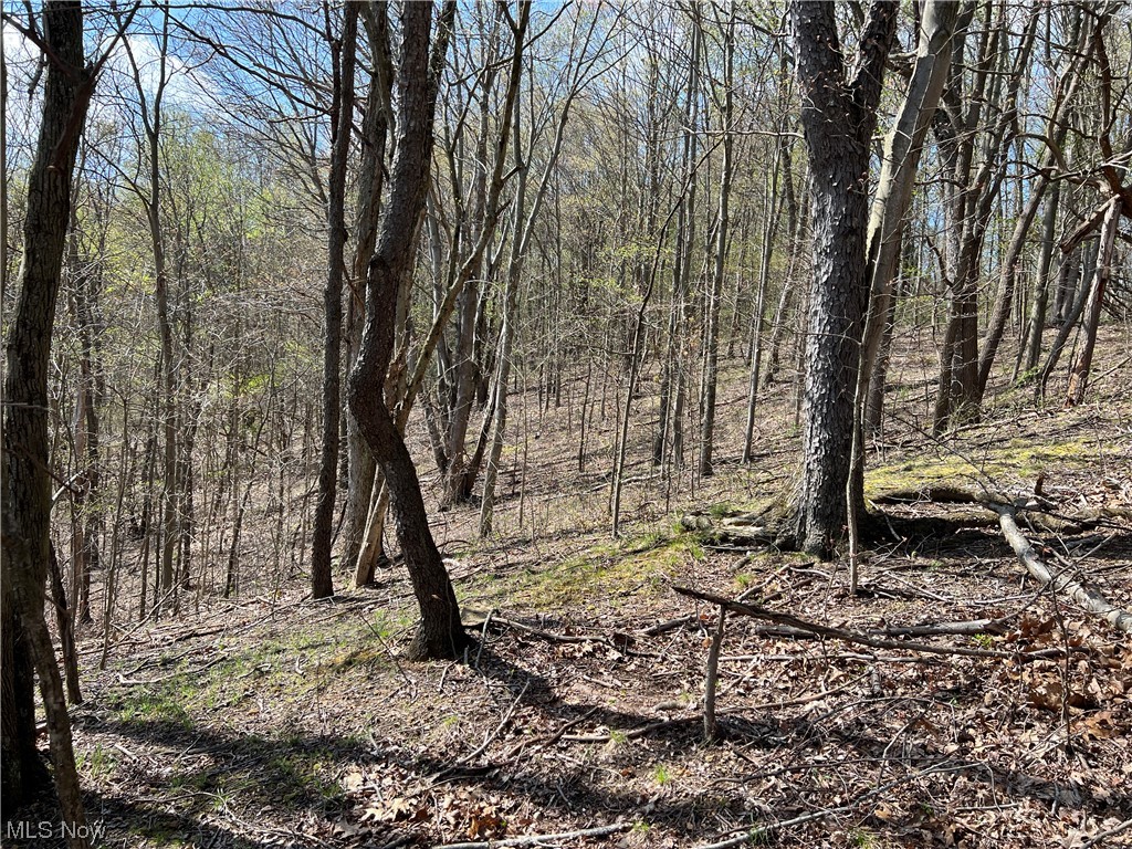 Southwest Post Boy Road Newcomerstown, OH 43832 - Photo 10 of 26 Gallery Image 10
