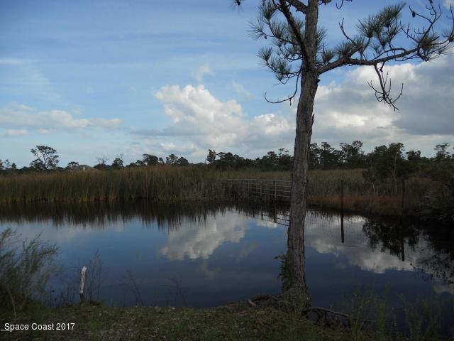 2065 Atz Road Malabar, FL 32950 - Photo 3 of 9 Picture #6