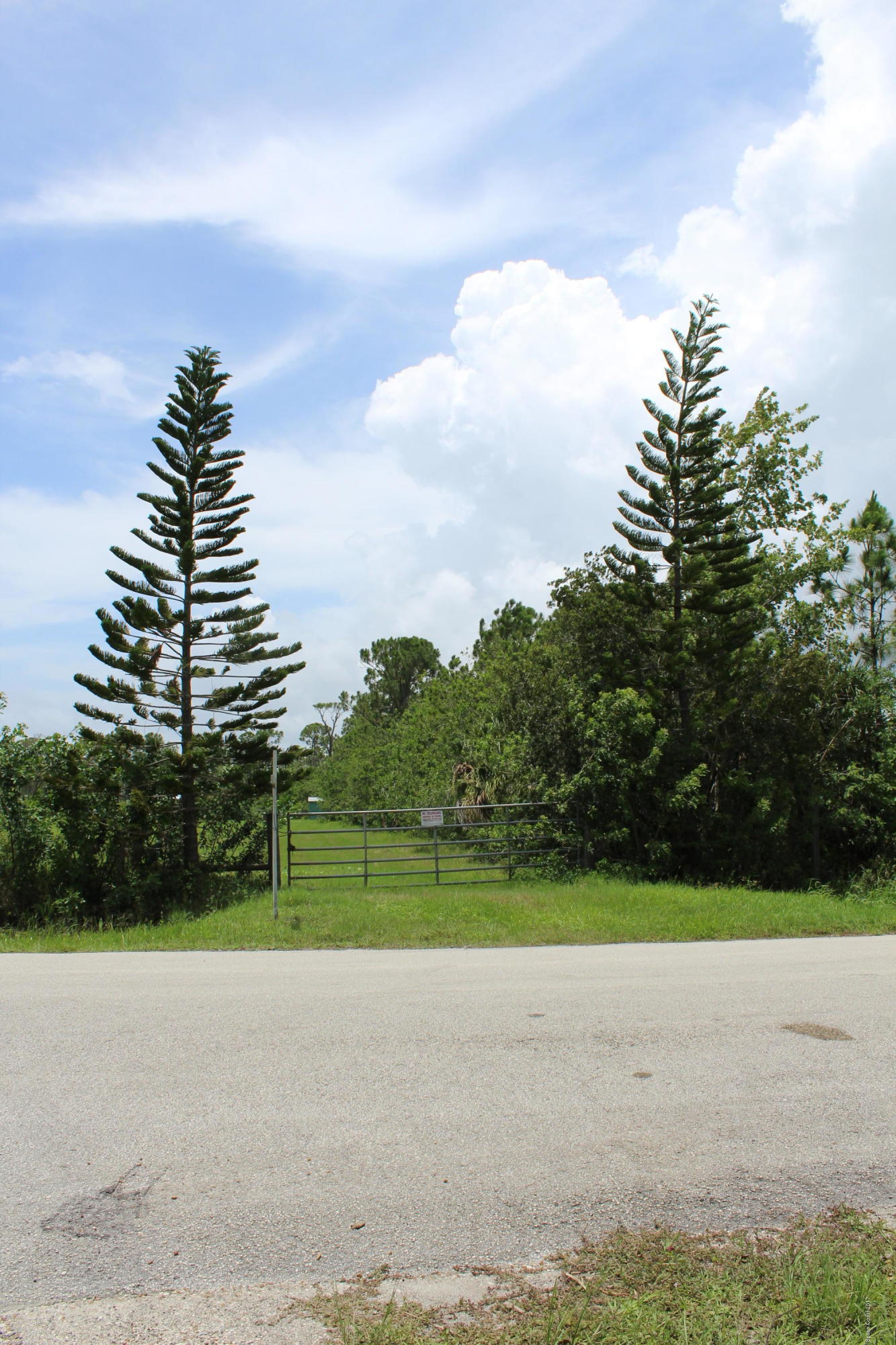 2065 Atz Road Malabar, FL 32950 - Photo 6 of 9 2017-06-21 04.50.52