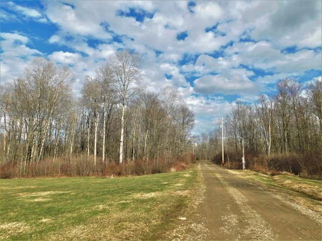2603 Ludwick Road Sugar Grove, PA 16350 - Photo 6 of 30 Gallery Image 6