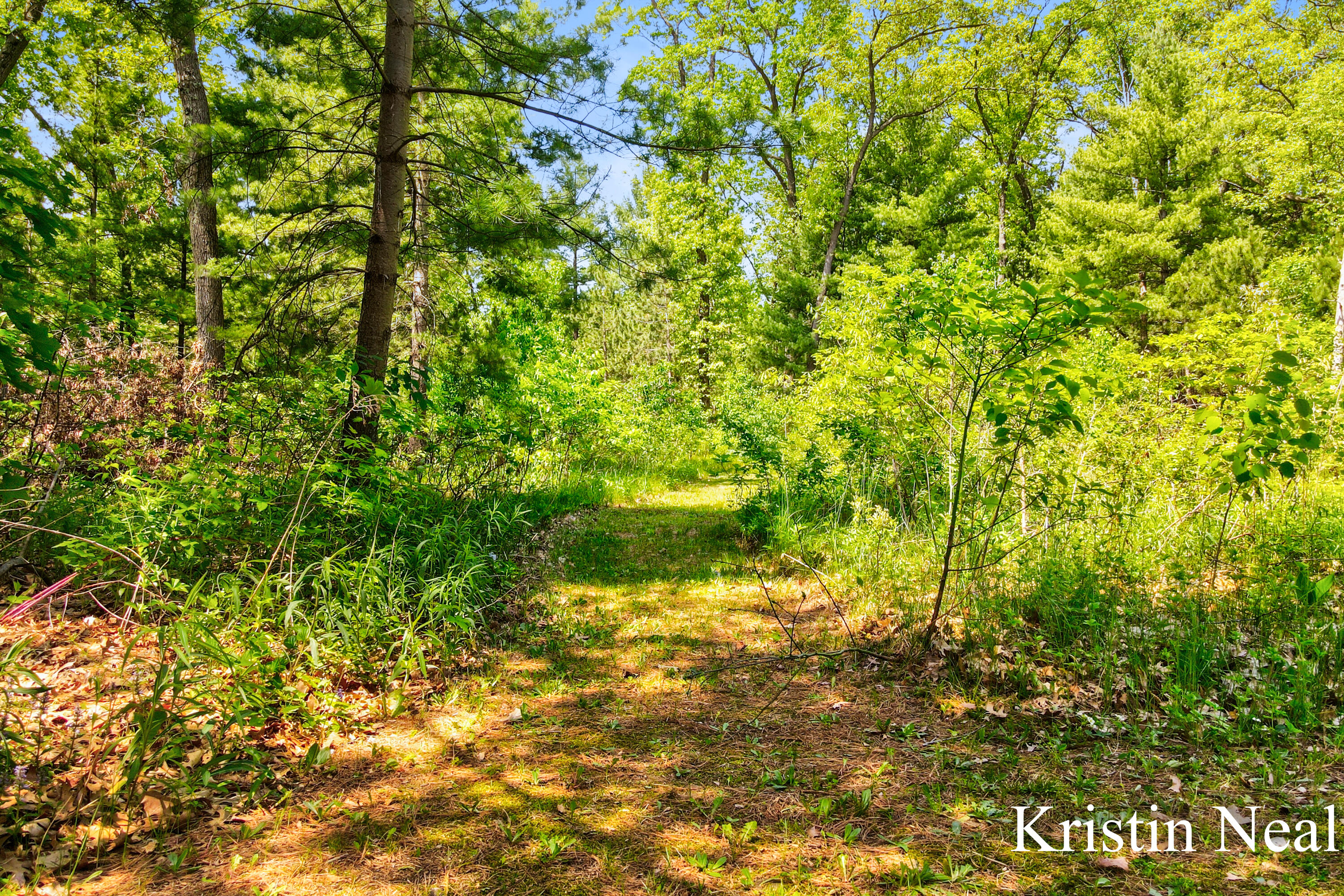 673 South Wolf Lake Road Muskegon, MI 49442 - Photo 49 of 56 Kristin Neal - 673 S Wolf Lake Drive (56