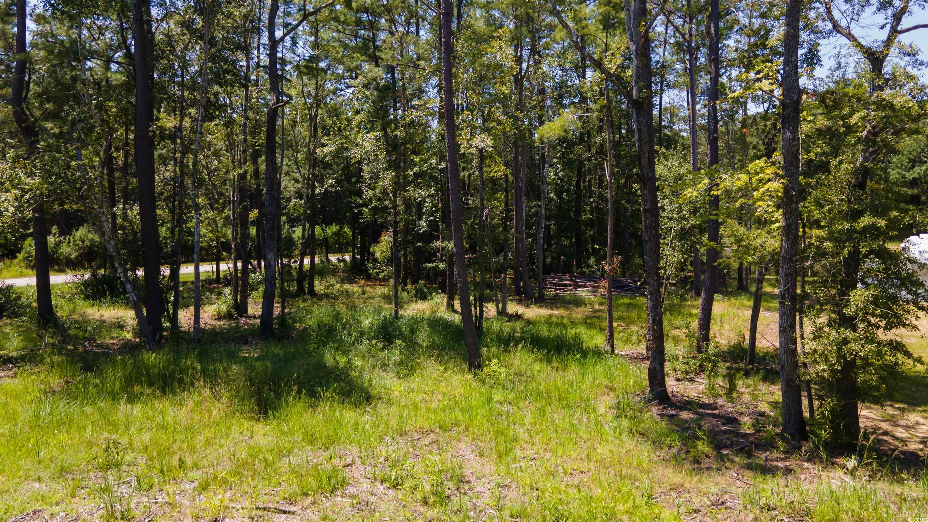 3598 Steamer Trace Road Conway, SC 29527 - Photo 12 of 39