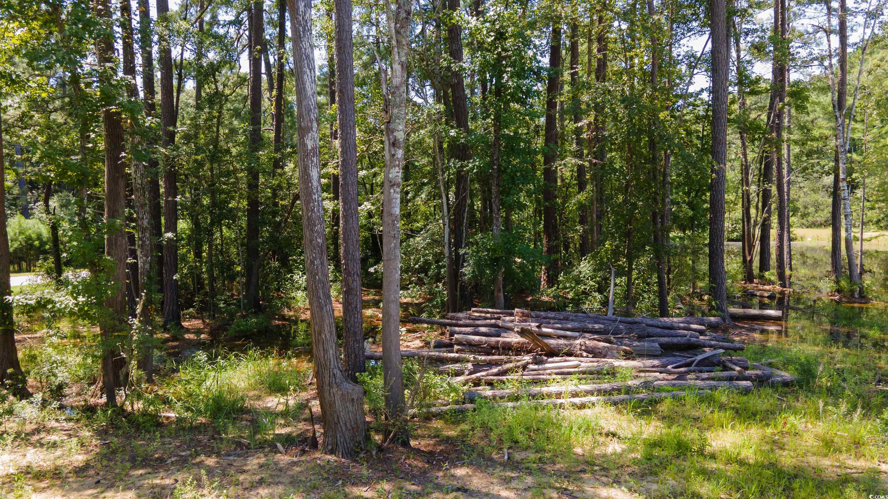 3598 Steamer Trace Road Conway, SC 29527 - Photo 13 of 39