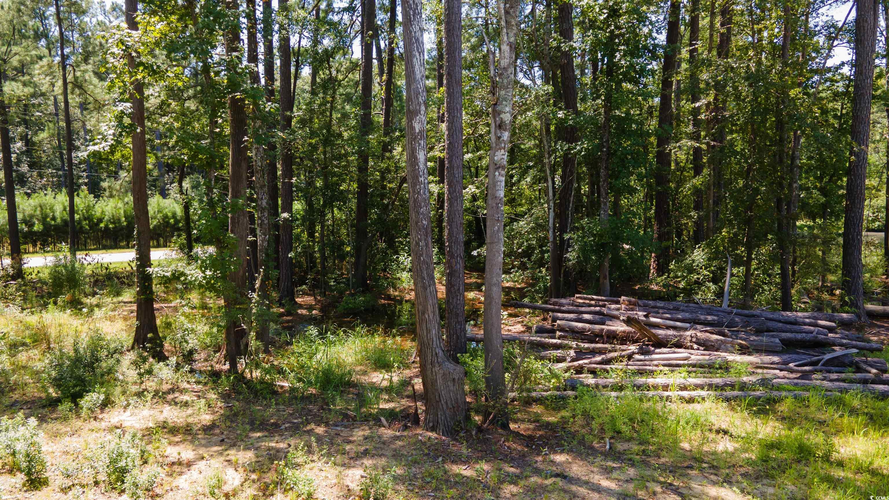 3598 Steamer Trace Road Conway, SC 29527 - Photo 14 of 39