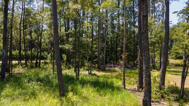 $99,900 | 3598 Steamer Trace Road, Conway, SC 29527