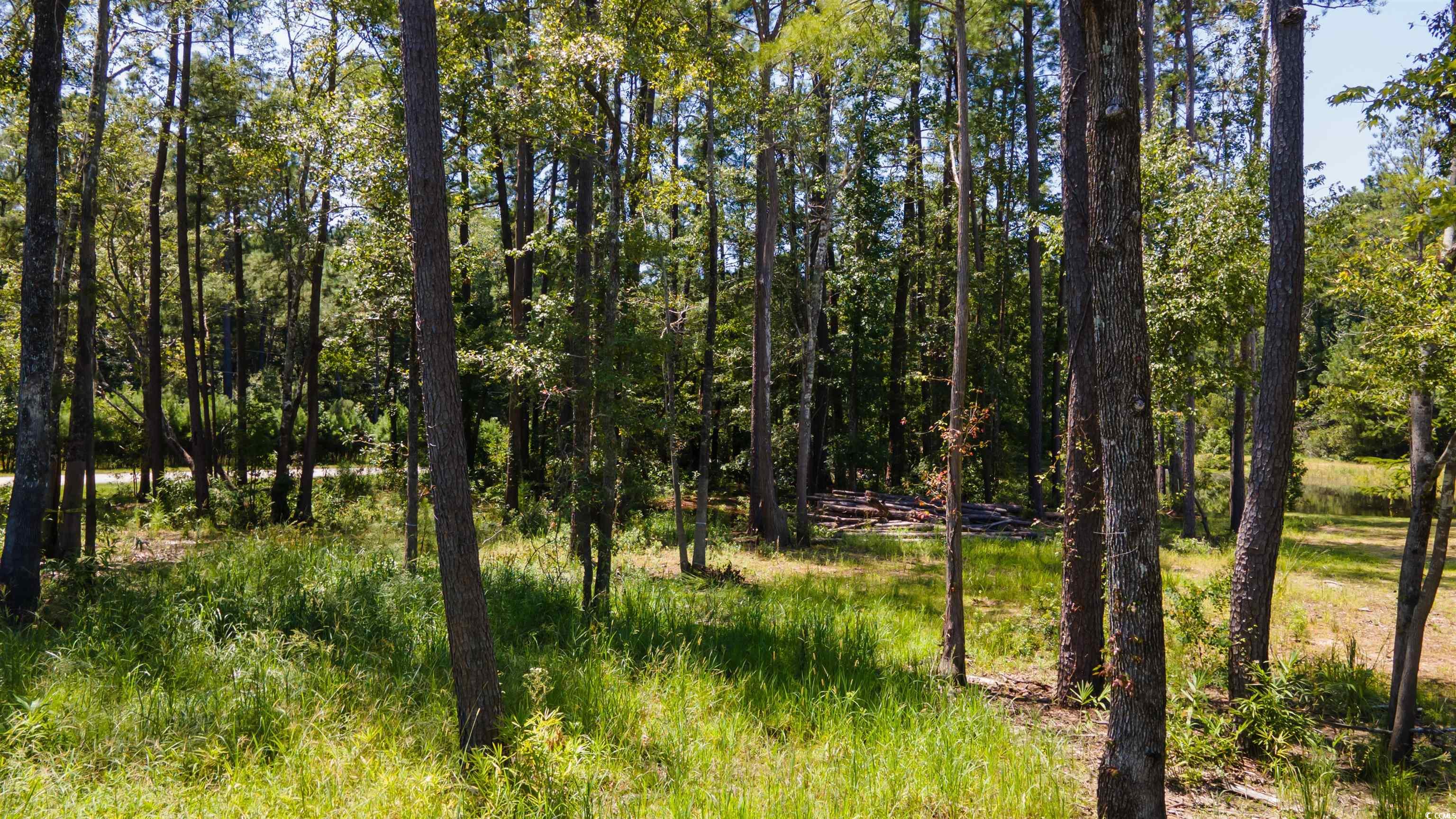 3598 Steamer Trace Road Conway, SC 29527 - Photo 16 of 39