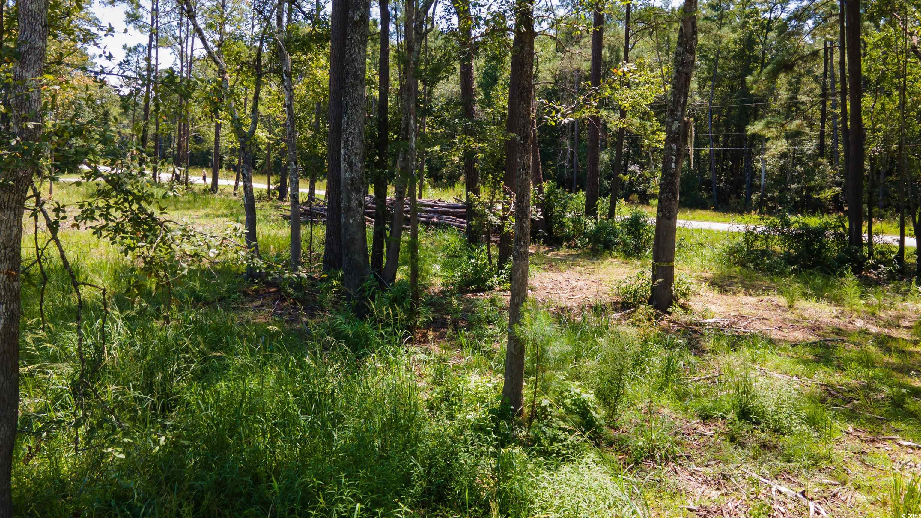 3598 Steamer Trace Road Conway, SC 29527 - Photo 17 of 39