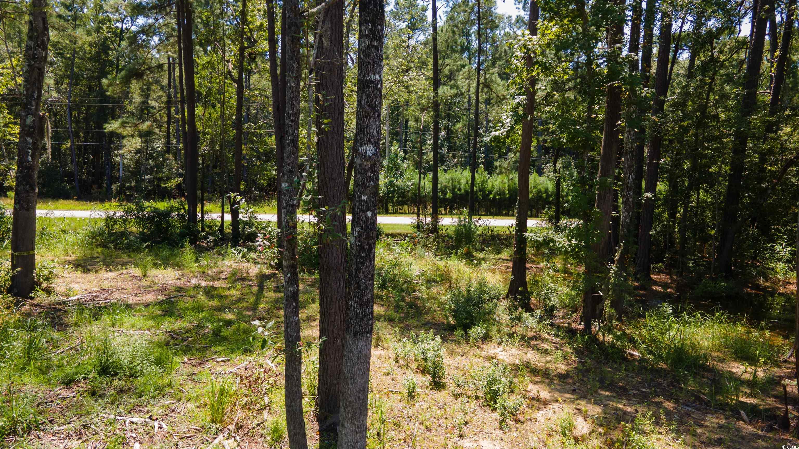 3598 Steamer Trace Road Conway, SC 29527 - Photo 19 of 39