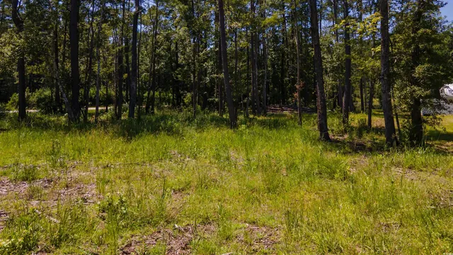 $99,900 | 3598 Steamer Trace Road, Conway, SC 29527