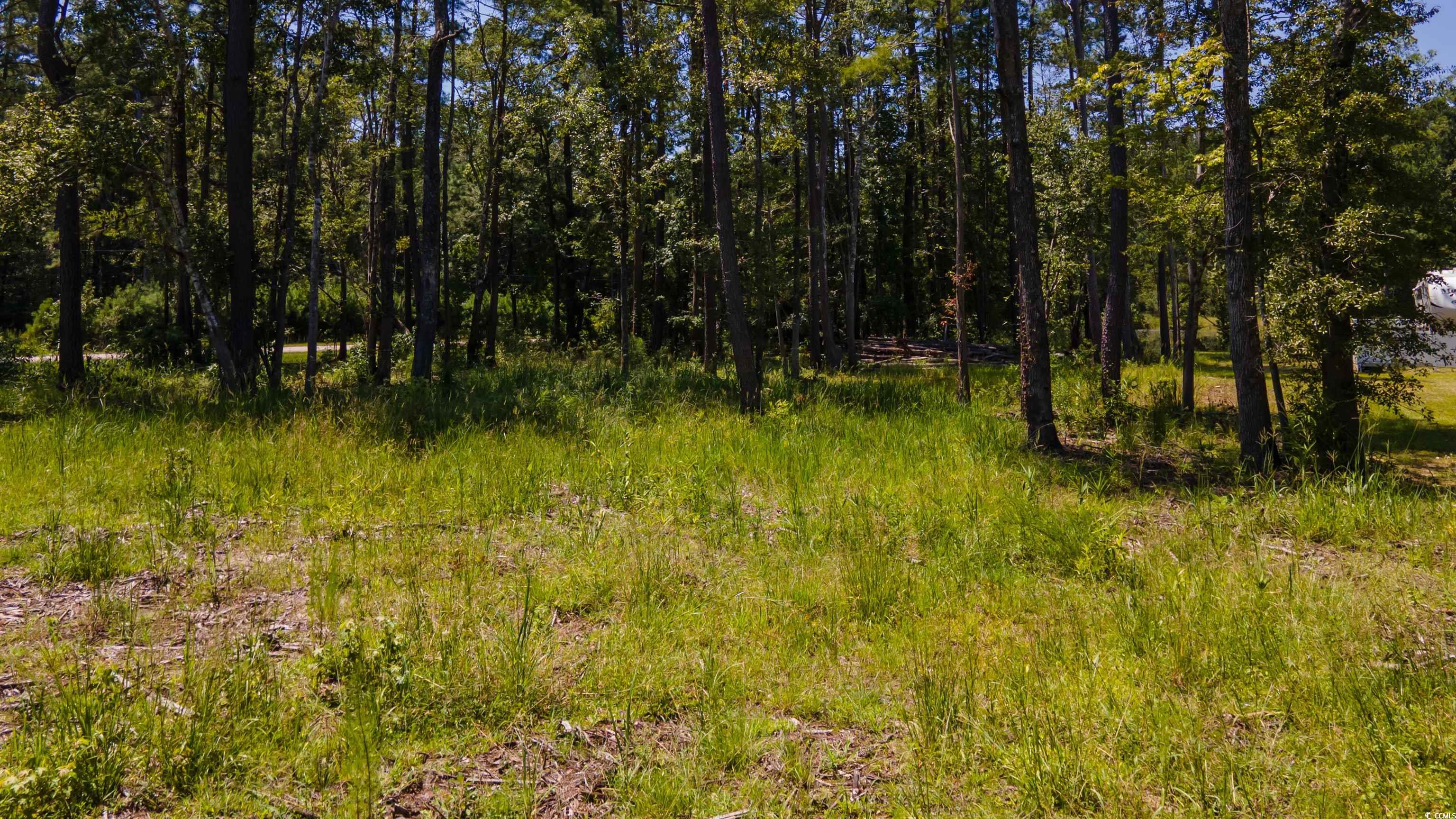 3598 Steamer Trace Road Conway, SC 29527 - Photo 21 of 39
