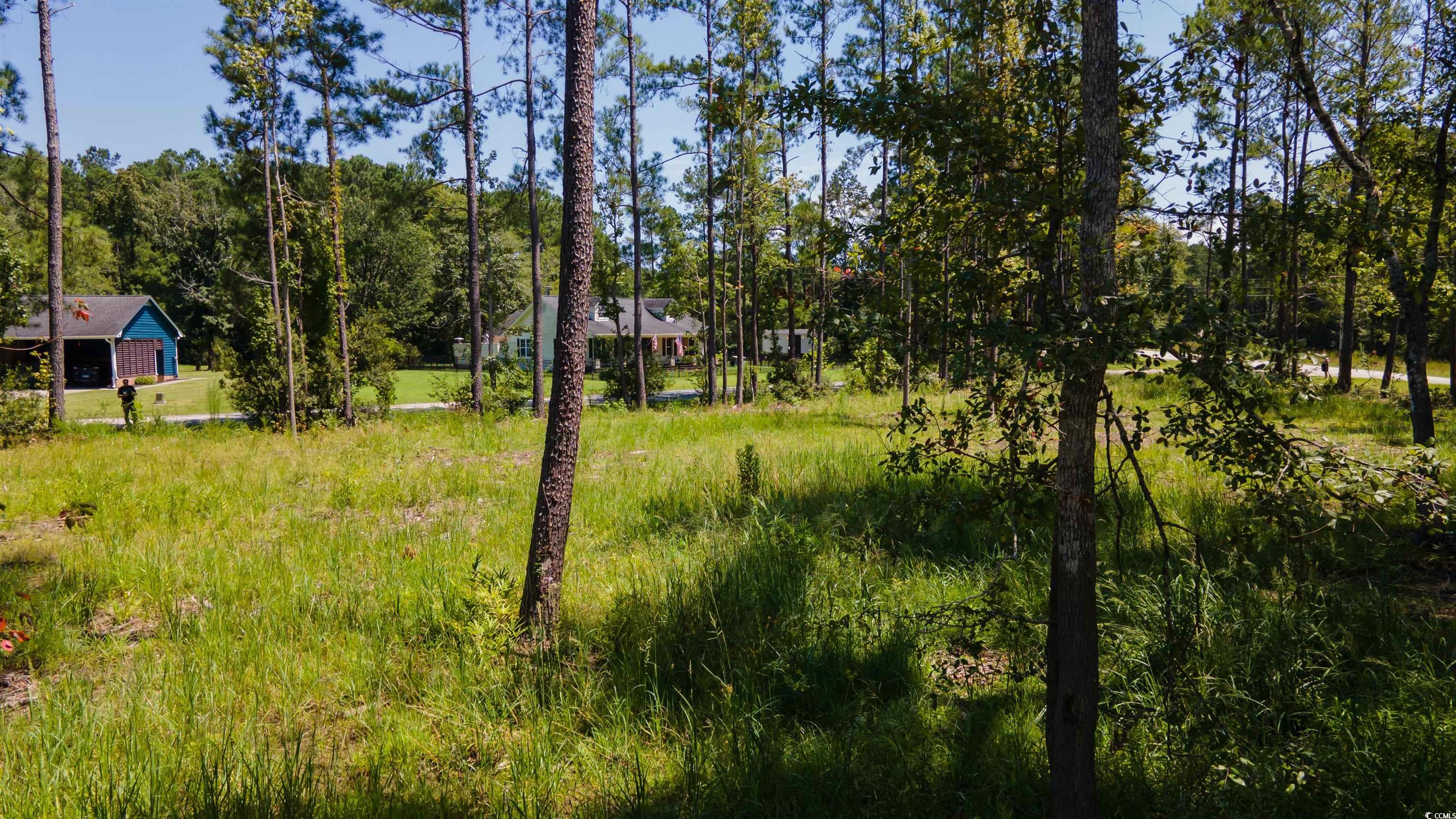 3598 Steamer Trace Road Conway, SC 29527 - Photo 23 of 39