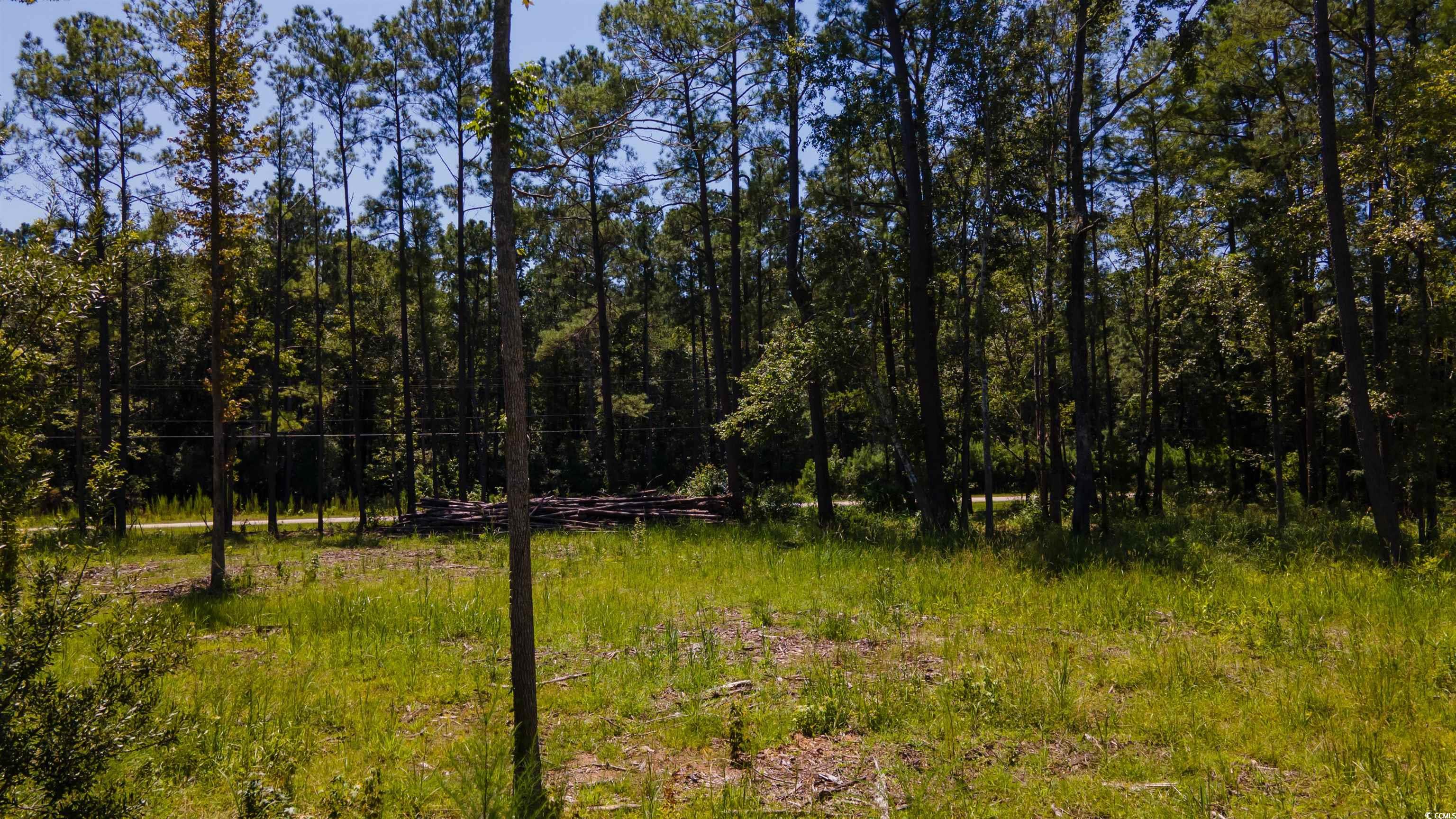 3598 Steamer Trace Road Conway, SC 29527 - Photo 24 of 39