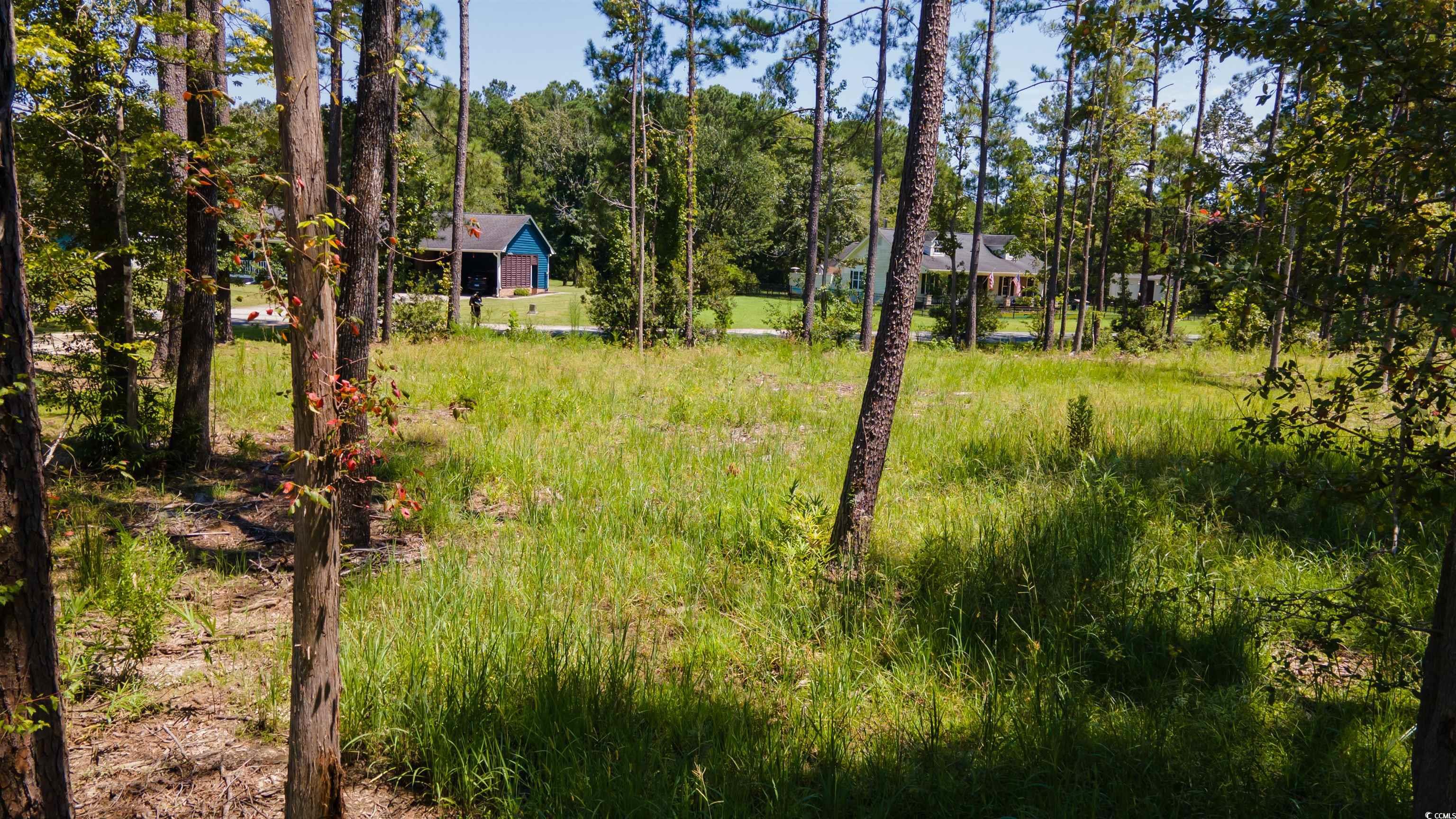 3598 Steamer Trace Road Conway, SC 29527 - Photo 25 of 39