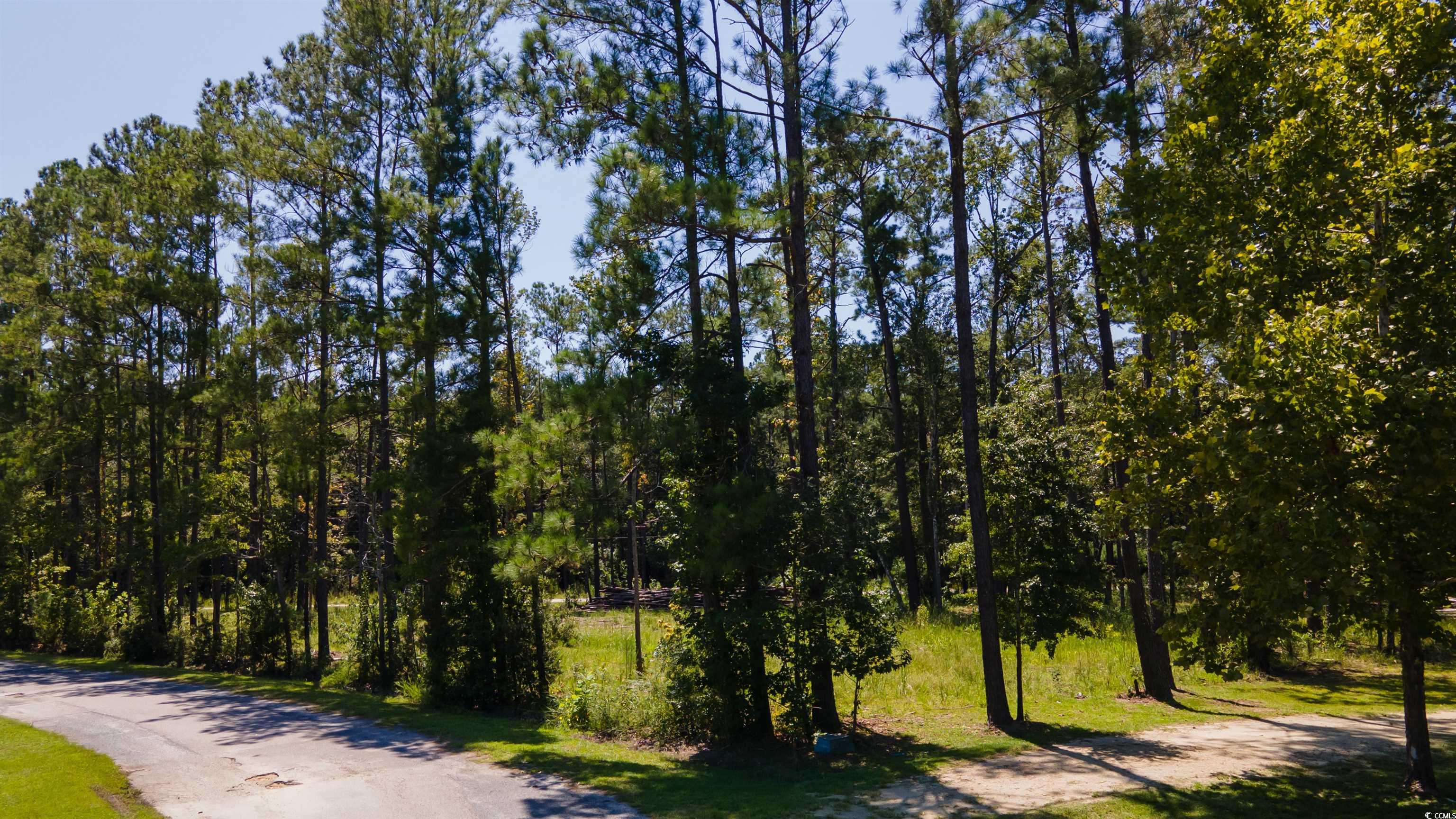 3598 Steamer Trace Road Conway, SC 29527 - Photo 26 of 39