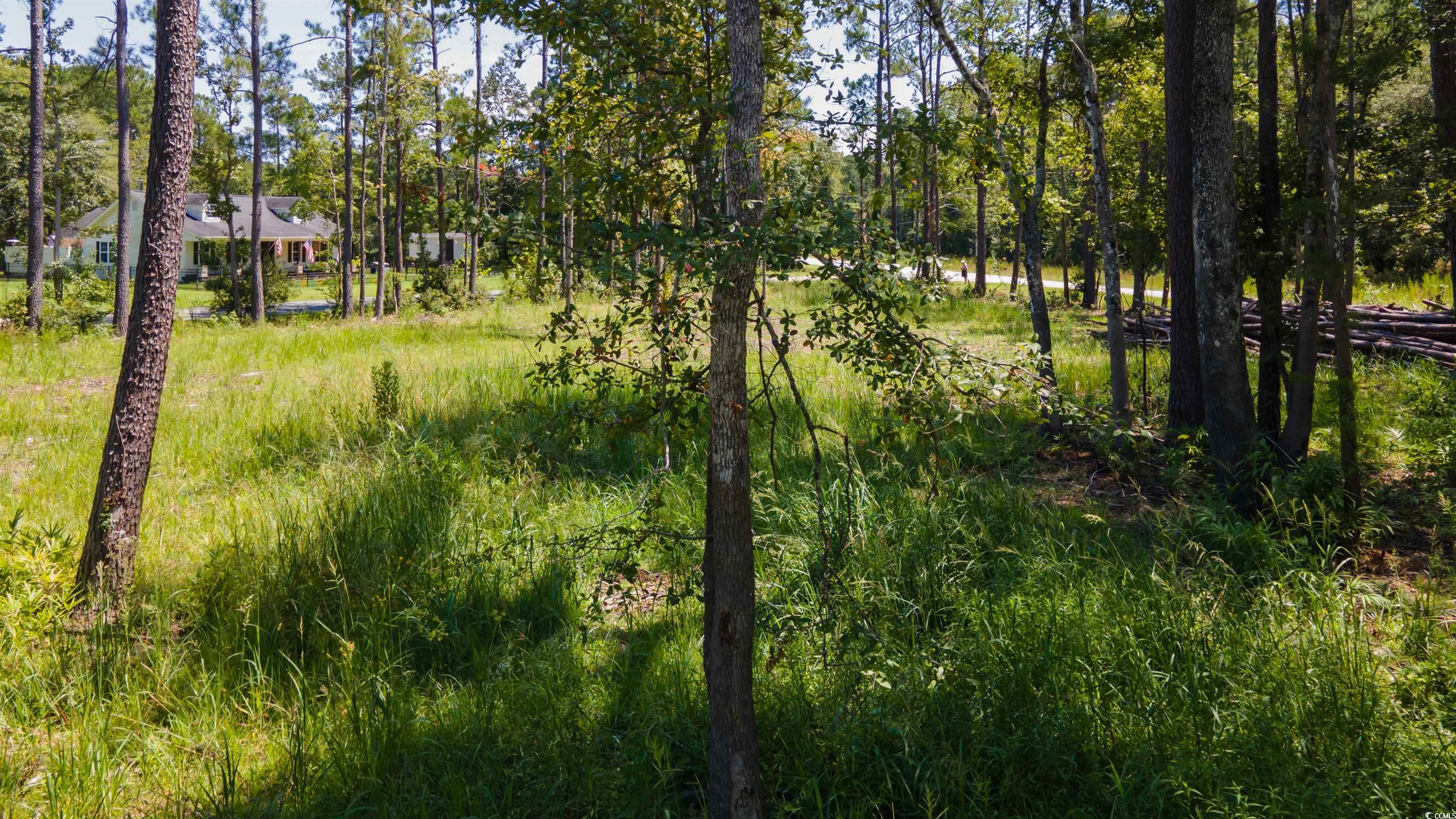 3598 Steamer Trace Road Conway, SC 29527 - Photo 27 of 39