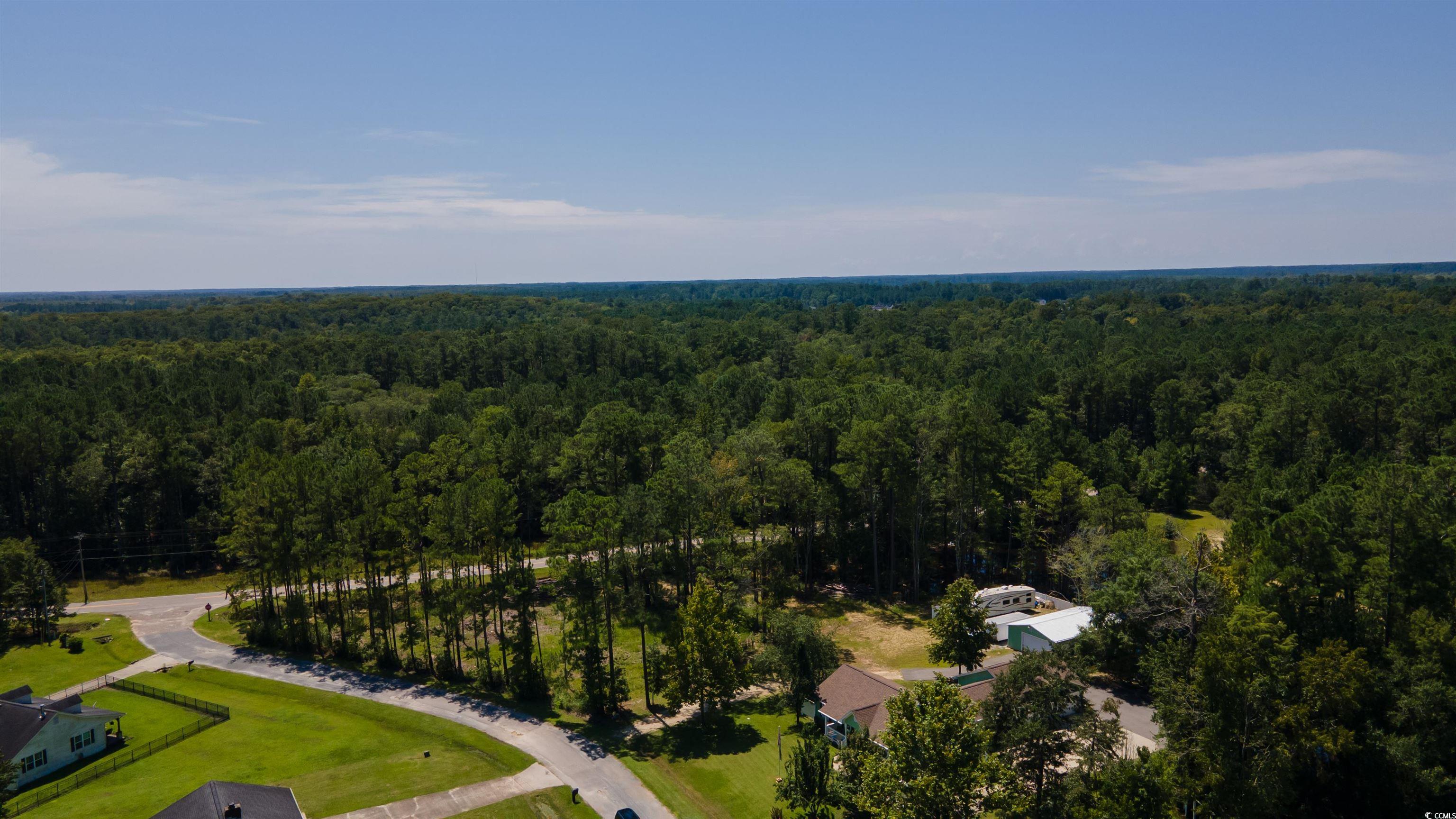 3598 Steamer Trace Road Conway, SC 29527 - Photo 30 of 39