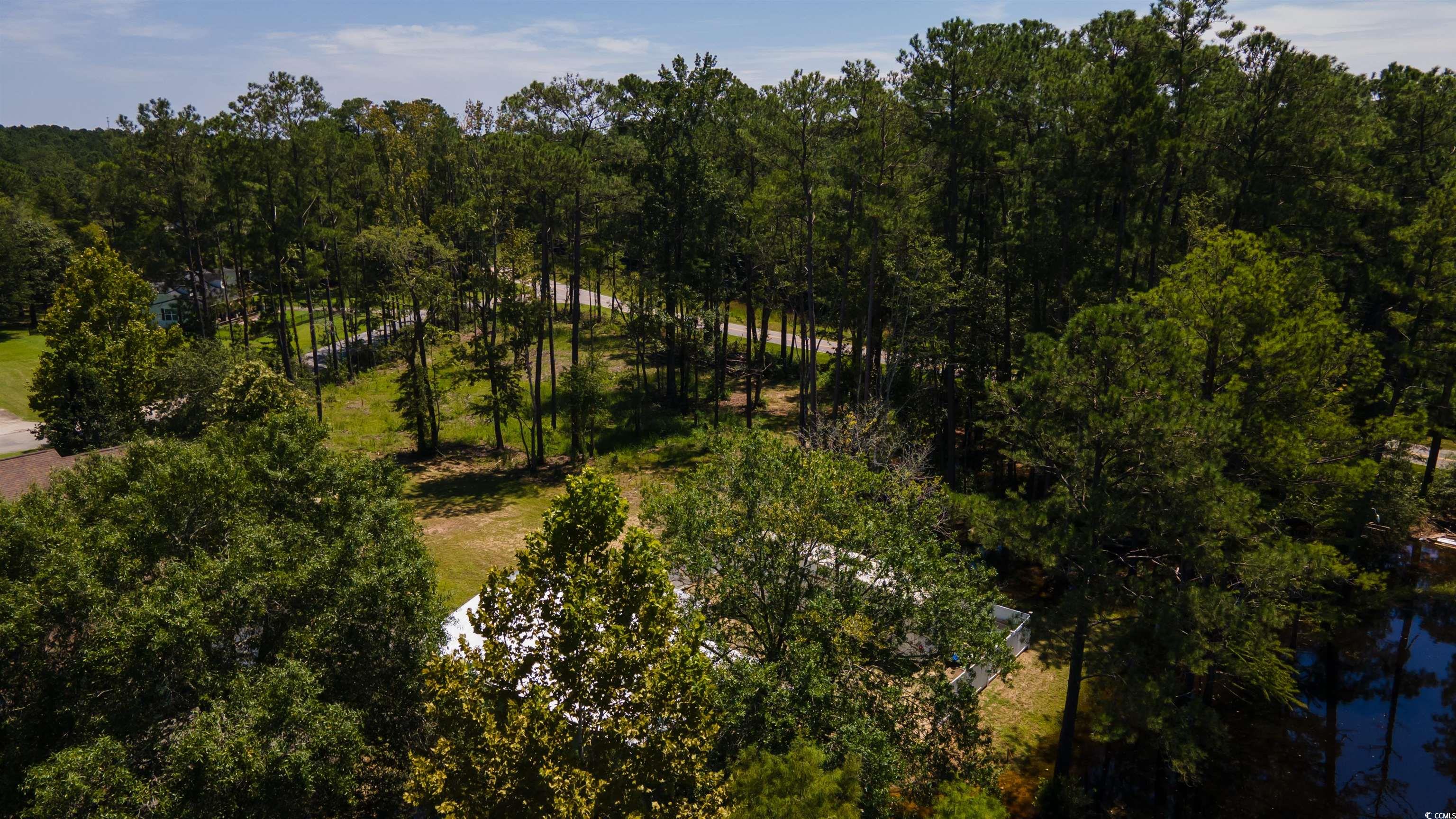 3598 Steamer Trace Road Conway, SC 29527 - Photo 3 of 39