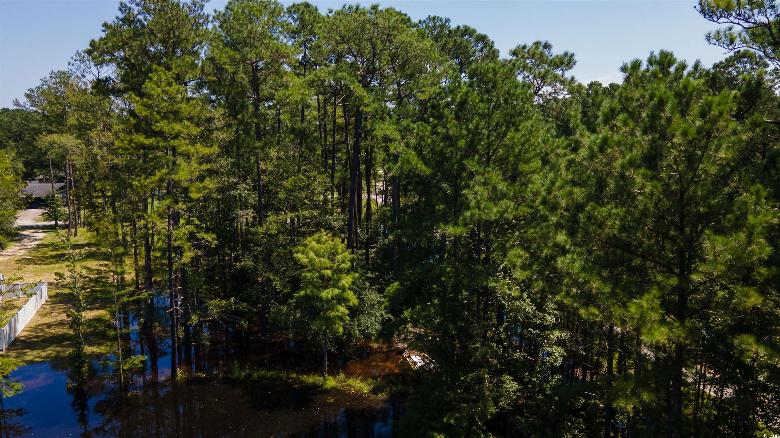 3598 Steamer Trace Road Conway, SC 29527 - Photo 8 of 39