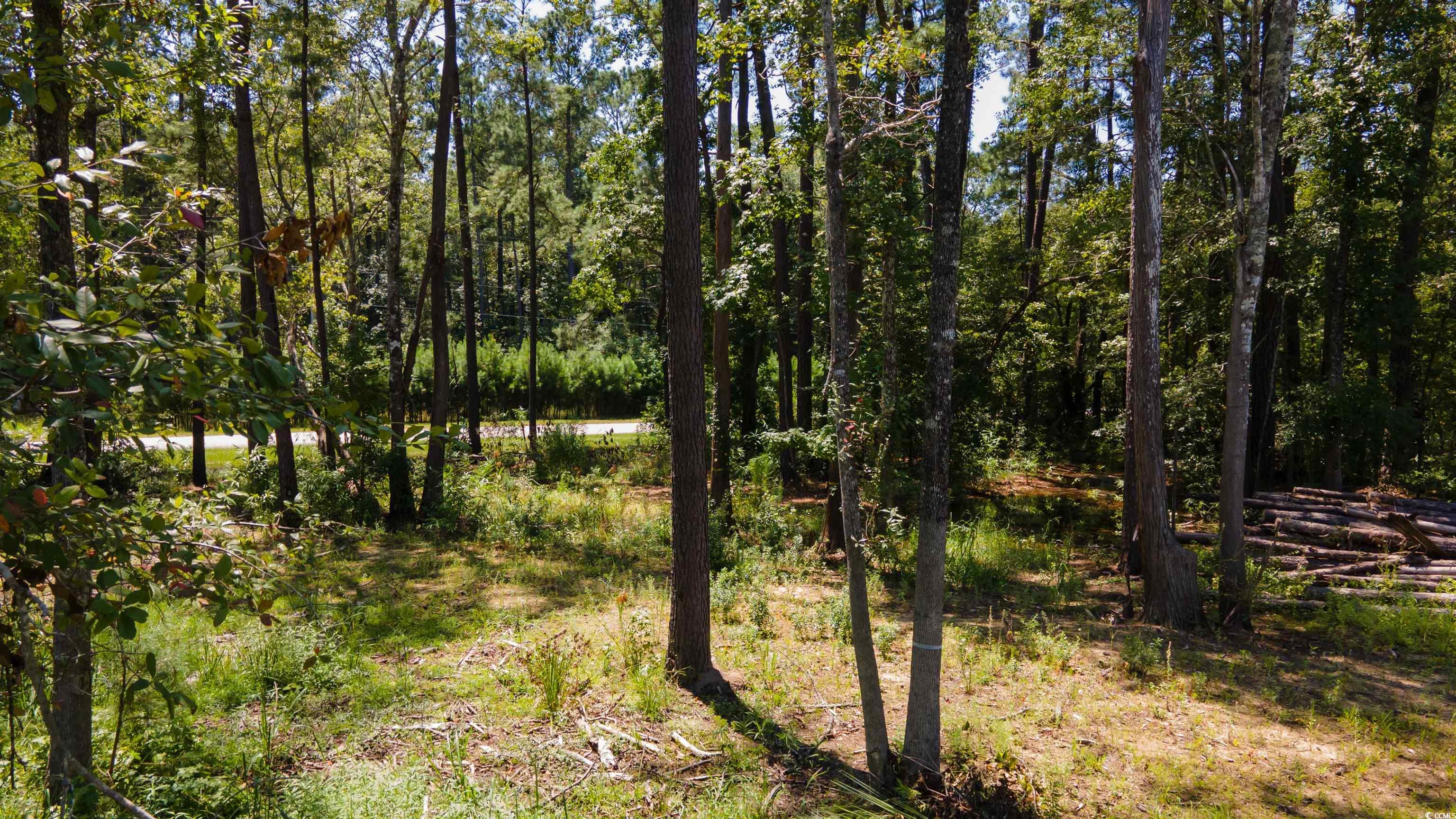 3598 Steamer Trace Road Conway, SC 29527 - Photo 10 of 39