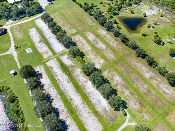 a view of a yard