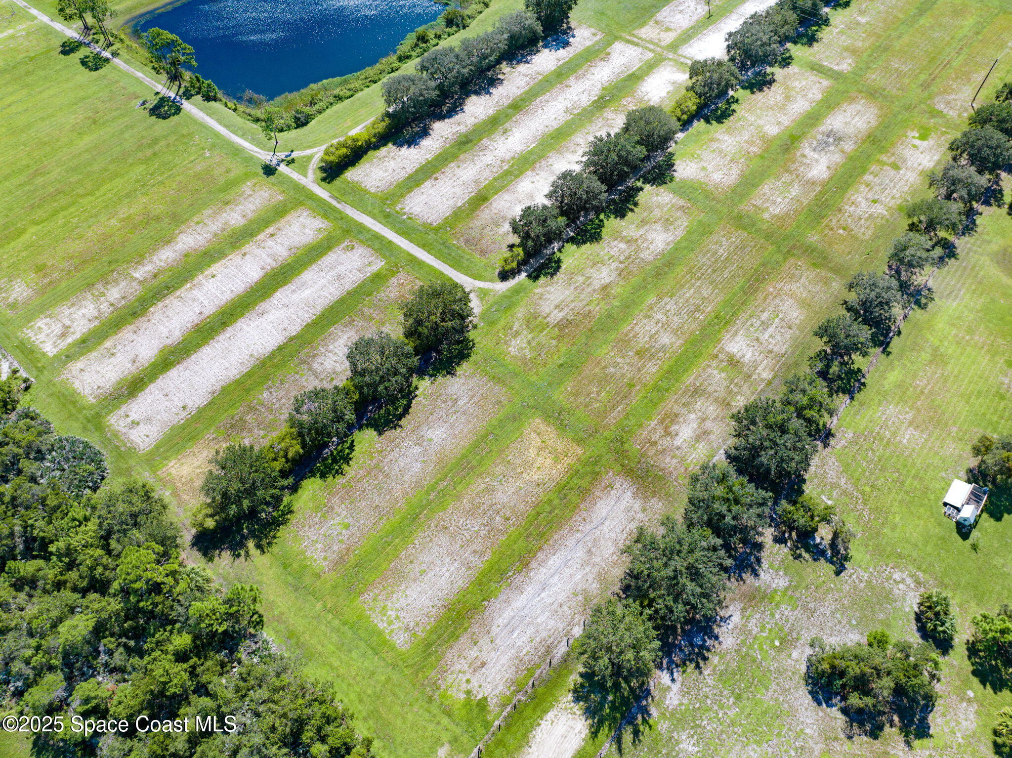 A Berry Road Grant Valkaria, FL 32949 - Photo 28 of 46 a view of a yard