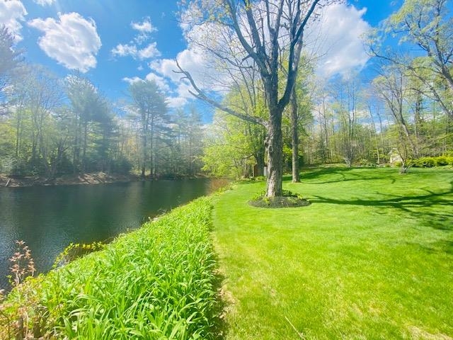 10 Edwards Mill Road Chester, NH 03036 - Photo 4 of 40