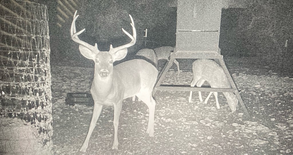 45200 Cr 450 Rocksprings Tx 78880 Rocksprings, TX 78880 - Photo 12 of 55 a close view of tap