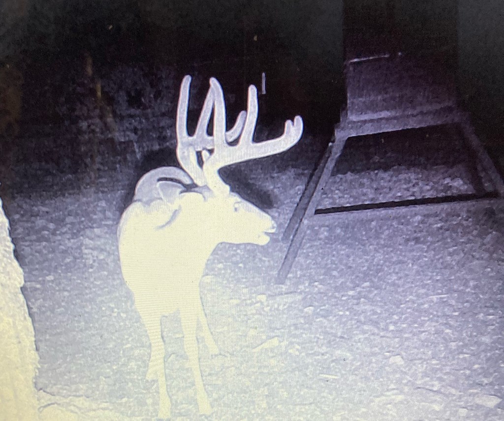 45200 Cr 450 Rocksprings Tx 78880 Rocksprings, TX 78880 - Photo 13 of 55