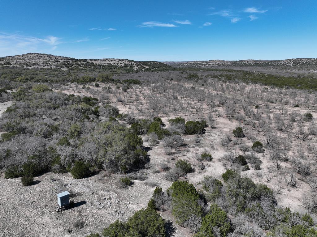 45200 Cr 450 Rocksprings Tx 78880 Rocksprings, TX 78880 - Photo 18 of 55 a view of a dry yard with mountains in the background