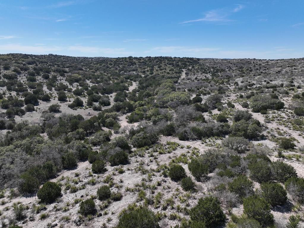 45200 Cr 450 Rocksprings Tx 78880 Rocksprings, TX 78880 - Photo 22 of 55 a view of a dry yard
