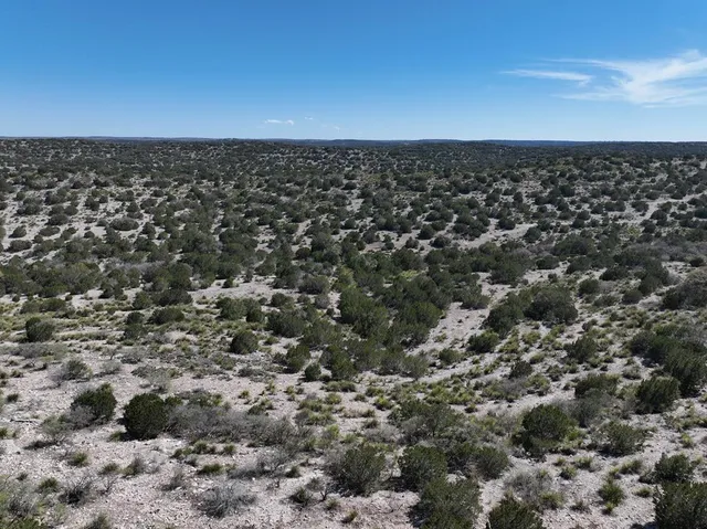 an aerial view of residential houses with city view