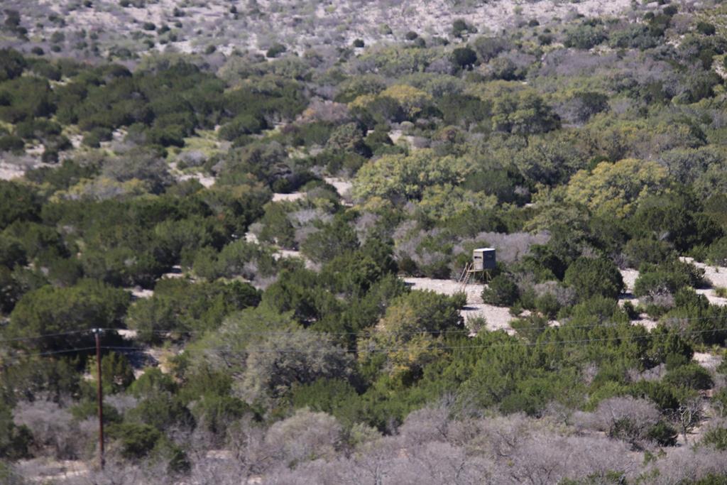 45200 Cr 450 Rocksprings Tx 78880 Rocksprings, TX 78880 - Photo 39 of 55 a view of a city with lush green forest