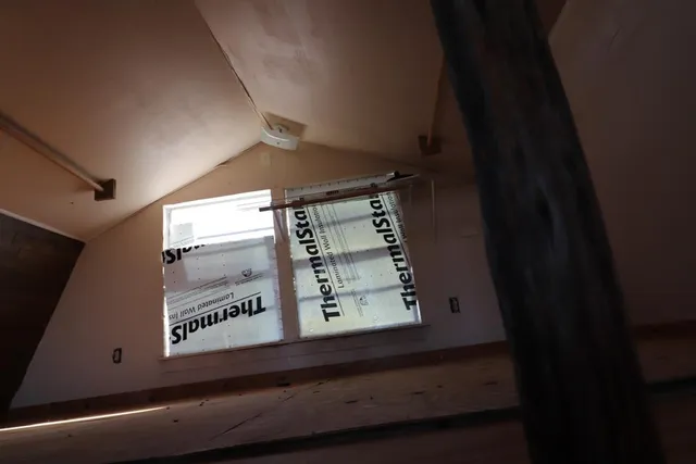 a view of a flower in a yard