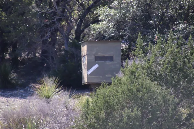 a view of a city with lush green forest