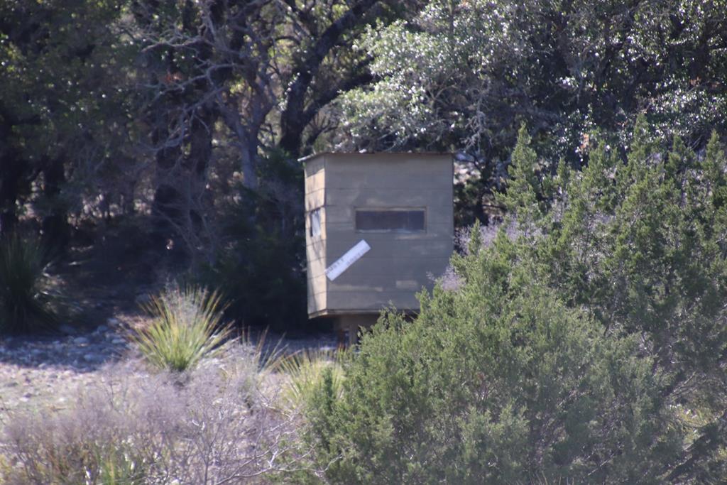 45200 Cr 450 Rocksprings Tx 78880 Rocksprings, TX 78880 - Photo 45 of 55 a view of a flower in a yard