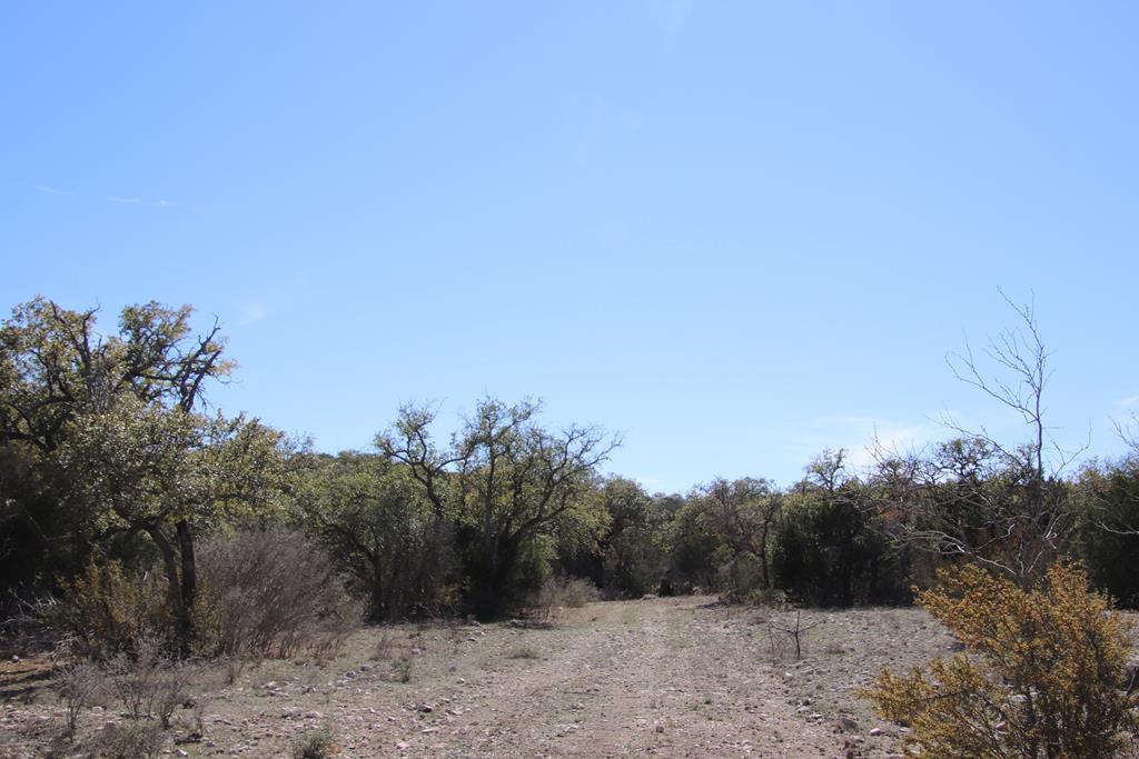 45200 Cr 450 Rocksprings Tx 78880 Rocksprings, TX 78880 - Photo 46 of 55 a view of a dry yard with trees in the background