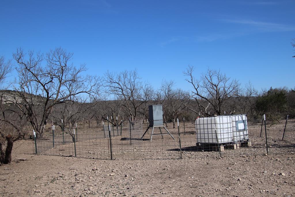 45200 Cr 450 Rocksprings Tx 78880 Rocksprings, TX 78880 - Photo 47 of 55 a front view of a house with a yard