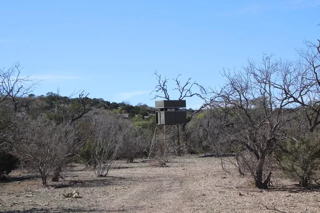 a view of a city with lush green forest