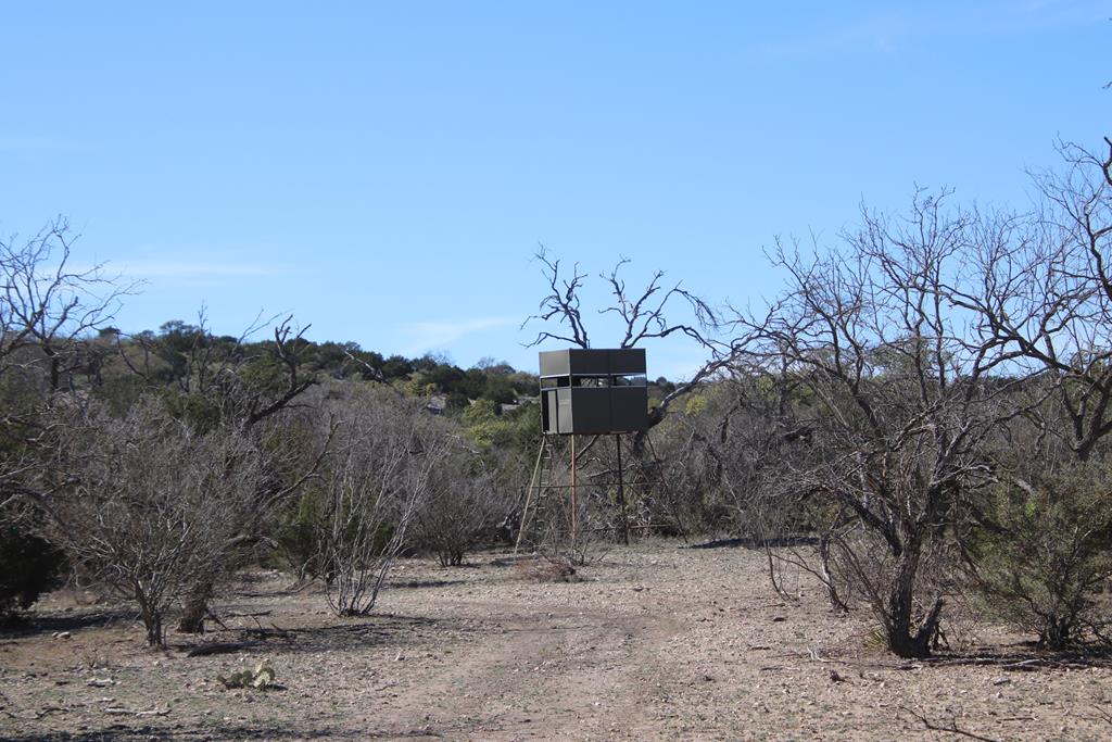 45200 Cr 450 Rocksprings Tx 78880 Rocksprings, TX 78880 - Photo 48 of 55 a view of a dry yard with trees