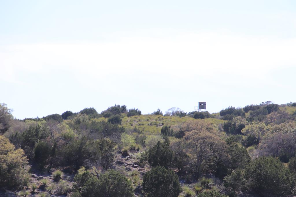 45200 Cr 450 Rocksprings Tx 78880 Rocksprings, TX 78880 - Photo 49 of 55 a view of a city with lush green forest