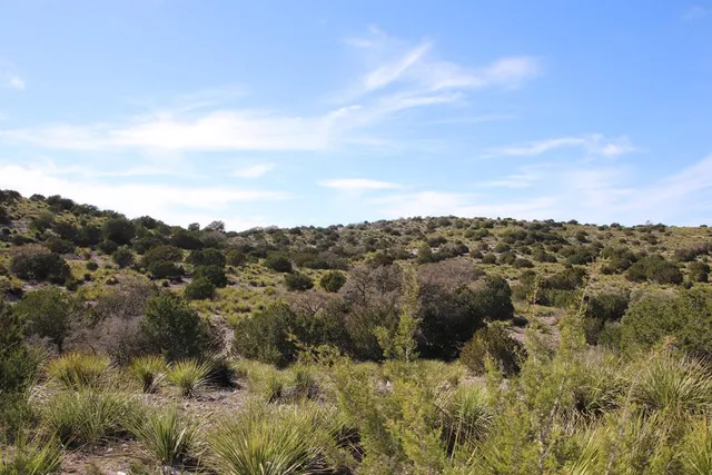 $1,195,000 | 45200 Cr 450 Rocksprings Tx 78880, Rocksprings, TX 78880