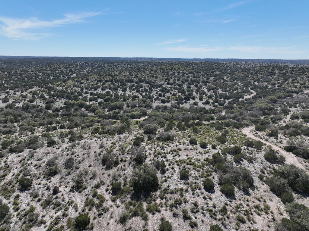 45200 Cr 450 Rocksprings Tx 78880 Rocksprings, TX 78880 - Photo 6 of 55 an aerial view of a houses with city view