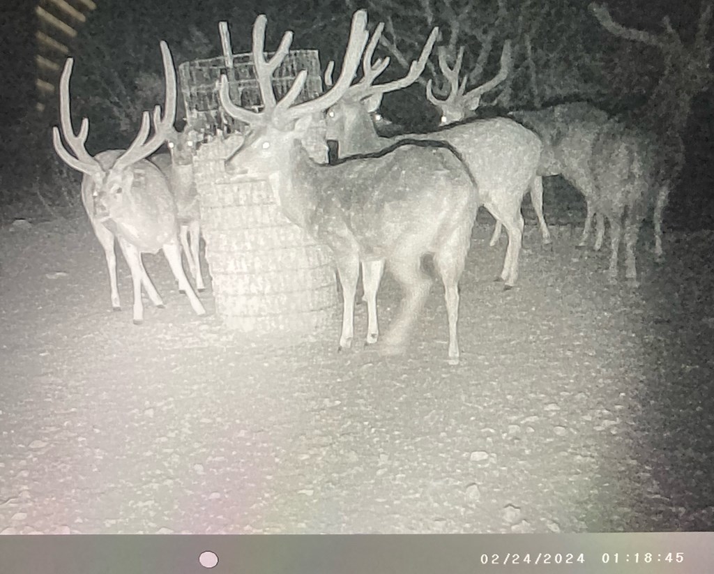45200 Cr 450 Rocksprings Tx 78880 Rocksprings, TX 78880 - Photo 7 of 55 a close view of light fixtures