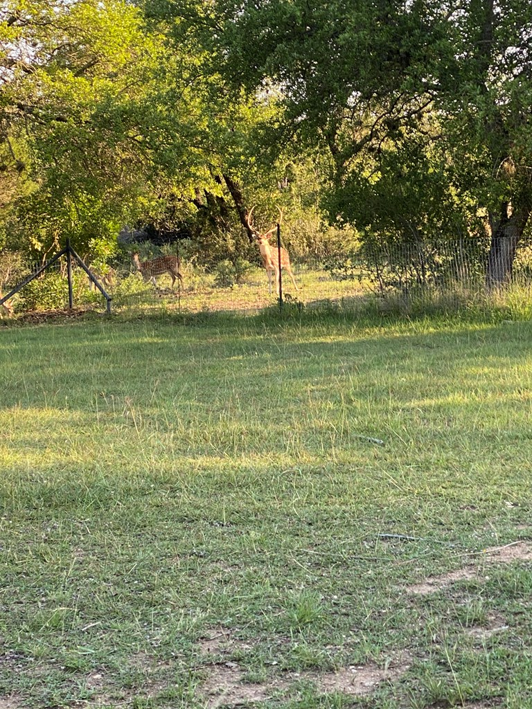 45200 Cr 450 Rocksprings Tx 78880 Rocksprings, TX 78880 - Photo 9 of 55 a view of outdoor space with green space