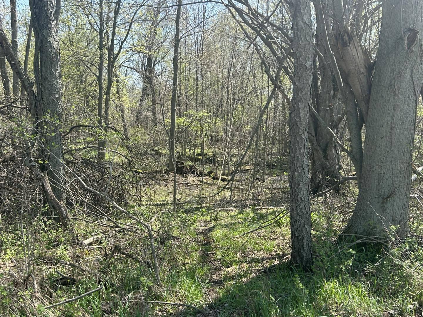 -vl Church Road Hillsdale, MI 49242 - Photo 11 of 22 dr11